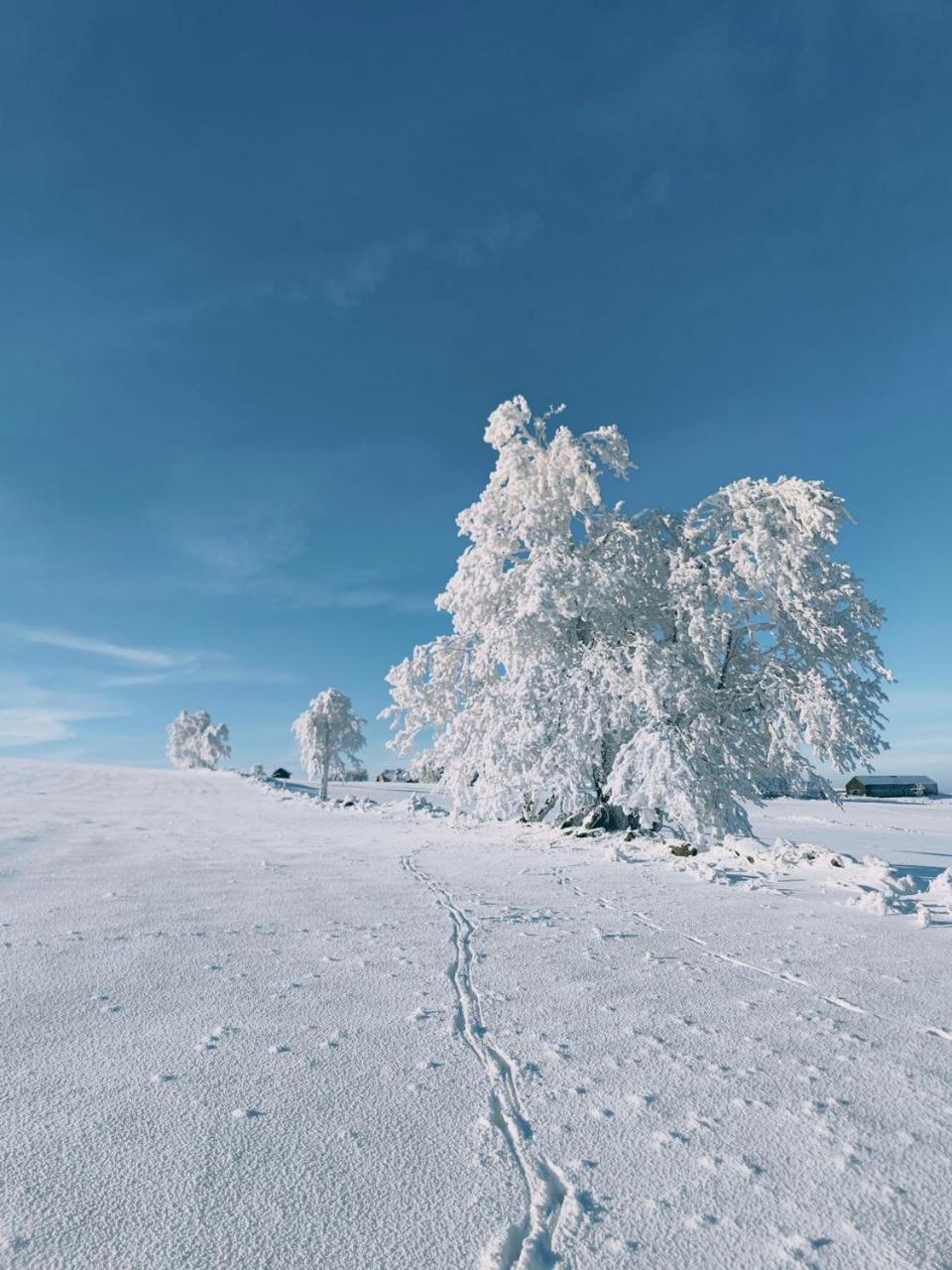 Na Malem Haji, Domek S Finskou Saunou Hora Svate Kateriny Exteriör bild